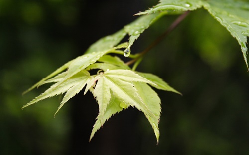 营销的发展方向,营销毕业生有两大法宝:熟悉市场营销专业知识